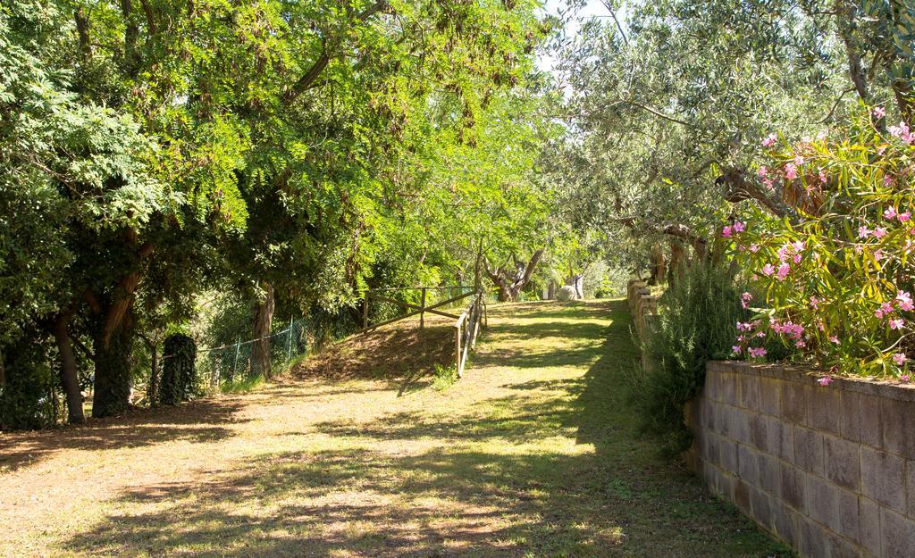 Blucamp Natural Village Campiglia Marittima Exterior foto